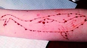 Blue Whale